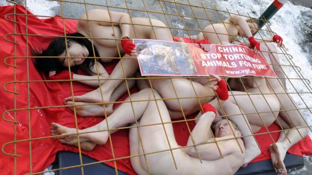 APA/ROLAND SCHLAGERAPA6867550-2 - 13022012 - WIEN - ÖSTERREICH: ZU APA-TEXT CI - Aktivisten während einer Aktion des Verein gegen Tierfabriken (VGT) "Gegen Pelze aus China" am Montag, 13. Februar 2012, in Wien. APA-FOTO: ROLAND SCHLAGER