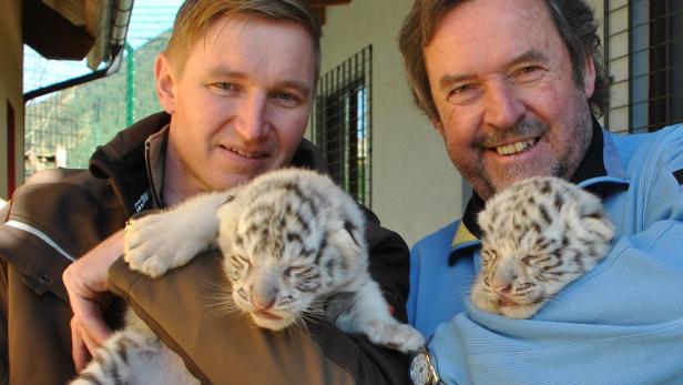 Boni und Balu: Die neuen Stars im Weißen Zoo