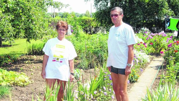 Einige Anrainer zweifeln am Sinn, nur den Oberboden zu tauschen