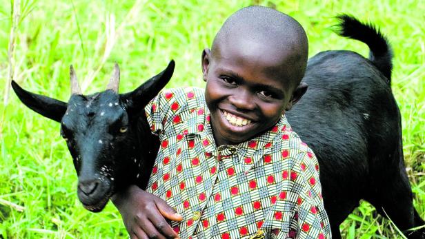 Kleinbauern in Afrika brauchen nicht viel, um zu überleben, aber auch die paar Tiere können sie sich nicht leisten. Mikrokredite können hier wertvolle Hilfe bringen.