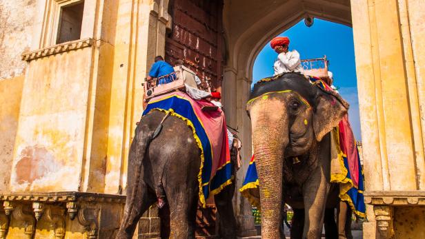 Indien… Elefanten tragen Besucher zum Fort Amber