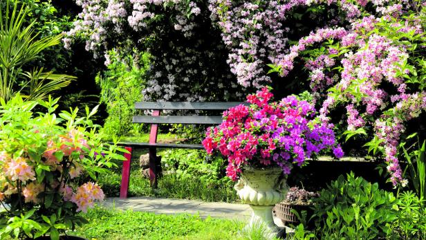 Was im Garten jetzt zu tun ist