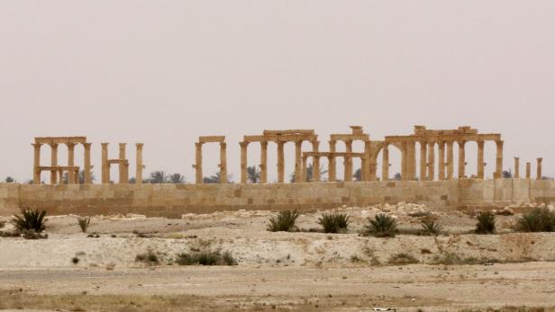 Palmyra: Legendäre antike Oasenstadt