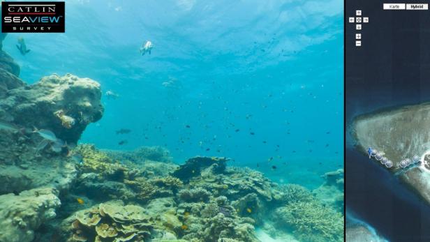 Google Earth taucht mit Unterwasser-Projekt ab