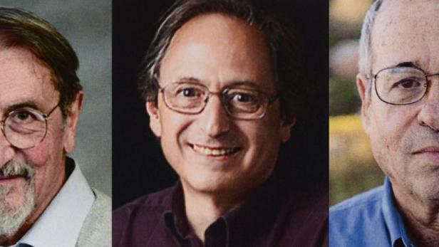 Martin Karplus, Michael Levitt and Arieh Warshel sind die Preisträger. Karplus wurde in Wien geboren, musste aber in den 30er Jahren in die USA auswandern.