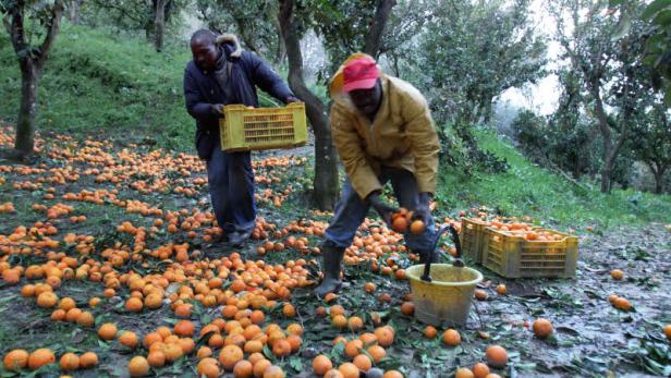 Ausbeutung: Fanta ohne italienische Orangen