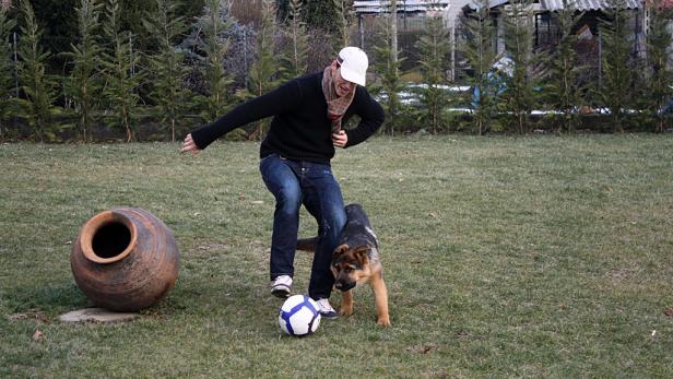 Marko Arnautovic erlitt beim Spielen mit Schäferhund Santos einen Bänderriss und fiel sechs Wochen aus.