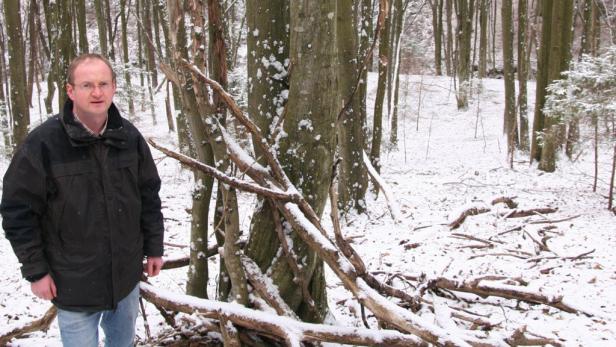 Rettenbach: Der Urwald macht sich breit