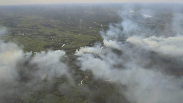 Brände in Kanada haben bisher 1600 Quadratkilometer Wald vernichtet.
