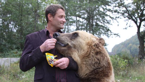 Ein Mann füttert einen Braunbären mit einem Snack.