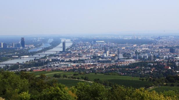 Trügerische Idylle vom Wiener Aussichtsberg: Die Sanierung der alten Burg auf dem Leopoldsberg lässt weiter auf sich warten.