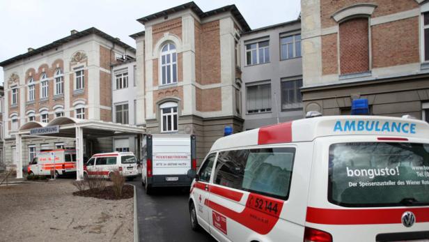 Grippe Grippe- und Darmviren sorgen für zwei bis drei Mal so viele Patienten am Tag wie gewöhnlich