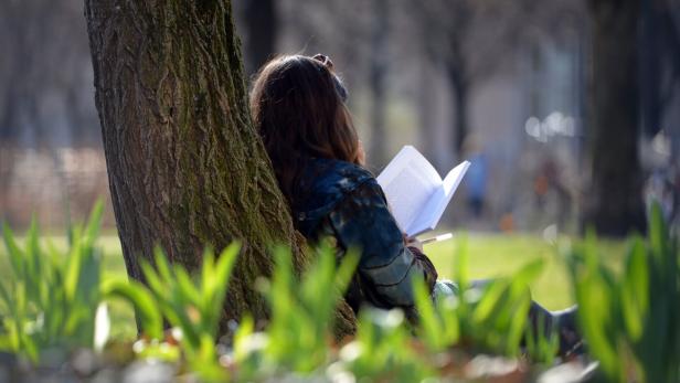 Eine junge Frau liest ein Buch, während sie an einem Baum im Park lehnt.
