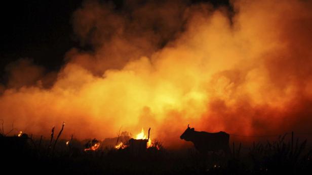 Waldbrand im August in Südspanien: Die durch Feuer verursachten Schäden werden noch deutlich zunehmen