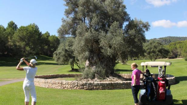 Eine Golferin schlägt den Ball auf einem Golfplatz mit einem Olivenbaum und einem Golfwagen.