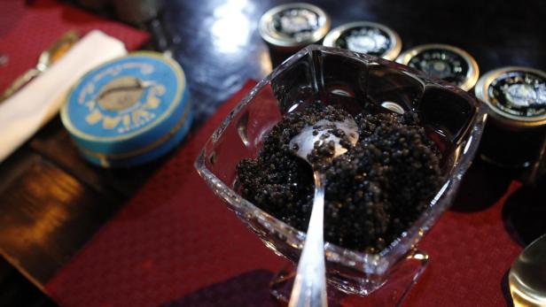 A cup with caviar is prepared for a competition which requires contestants to consume 500 grams of caviar in the fastest speed in Moscow, April 20, 2012. Alexander Valov, 49, won the contest. REUTERS/Maxim Shemetov (RUSSIA - Tags: SOCIETY)