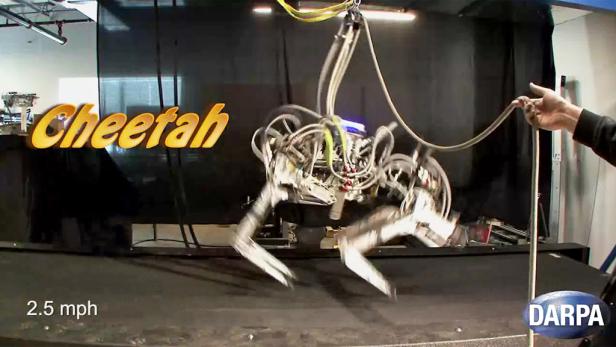 DARPA zeigt schnellsten Lauf-Roboter