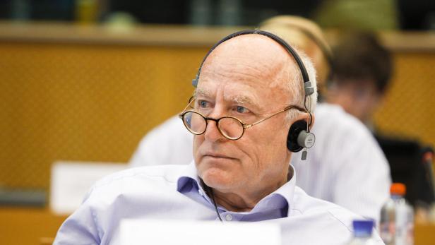 Josef Weidenholzer, Europaparlamentarier