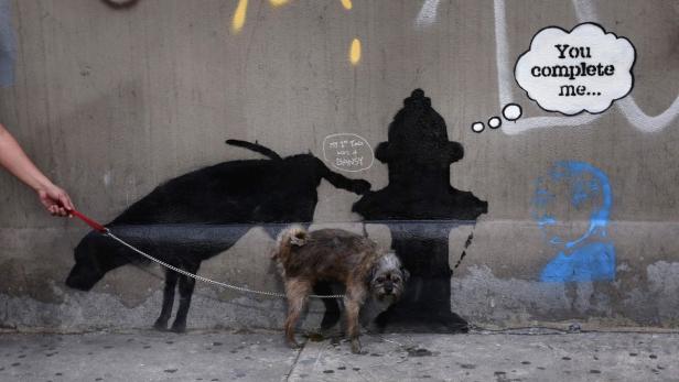 Sogar ein Hund setzt sich in New York mit Banksys Street Art auseinander.