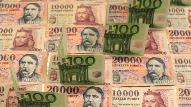 Forint- und Euro-Scheine: Betroffen von den Vorgaben in Ungarn werden auch die Erste Group, Raiffeisen und Bank Austria sein.
