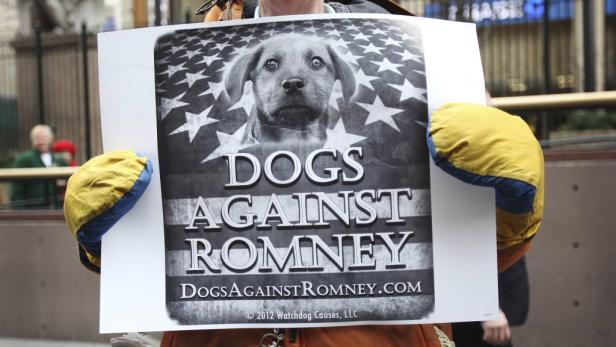 Tierischer Wahlkampf: „Hunde gegen Romney"