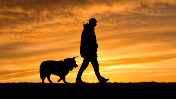 Seit Jahrtausenden leben Mensch und Hund zusammen. Für eine harmonische Beziehung braucht es Erziehung - auf beiden Enden der Leine.