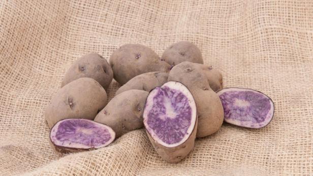 Fast vergessene Sorten wie die violette &quot;Viola&quot; werden wieder häufiger angebaut.