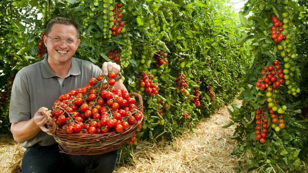 Alois Liebmann, Gemüsebauer und Humus-Landwirt