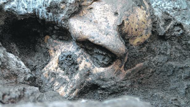 Der Dmanissi-Mann, gefunden in einer Höhle in Südgeorgien.