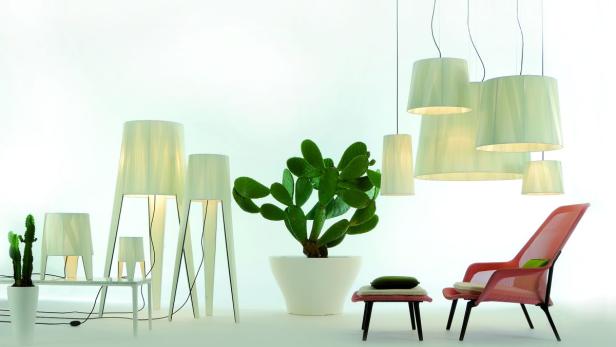 Verschiedene Lampen und ein Kaktus in einem hellen Raum.