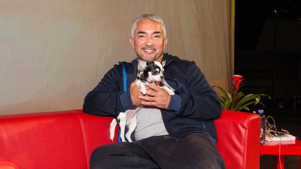 US-Hundecoach Cesar Millan und Lily