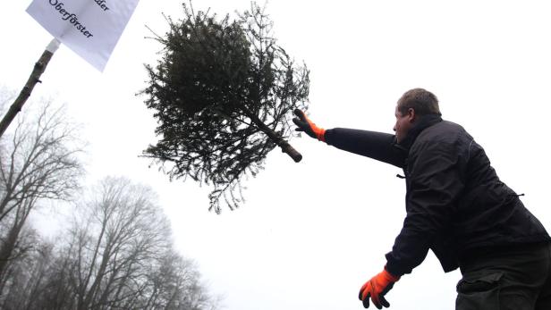 Ein Mann wirft einen kleinen Weihnachtsbaum in die Luft.