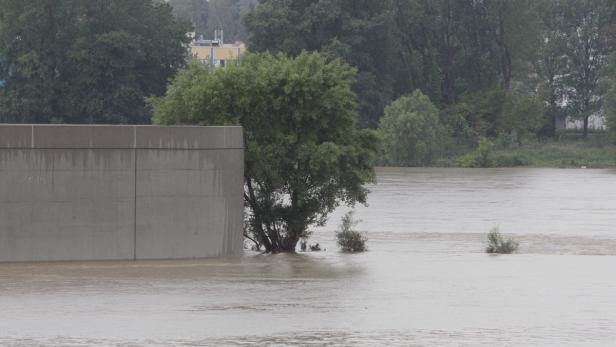 Donau-Hochwasser: Einlaufbauwerk der Neuen Donau blieb aber zu