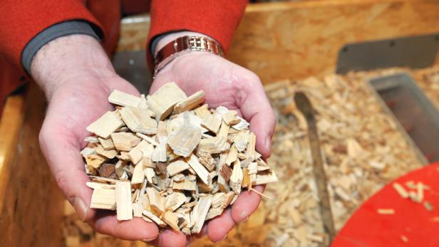 Fehler bei Biomasseanlagen führt zu Pleite