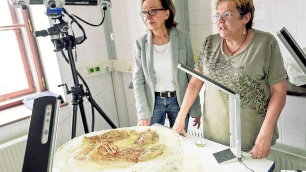 Unter dem Mikroskop: Archäologen untersuchen die &quot;Zwillinge von Krems&quot;