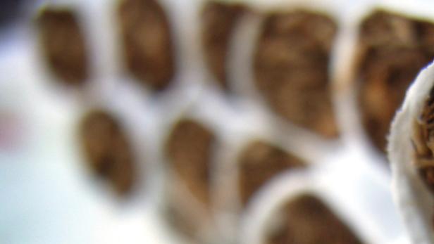 Mehrere Teebeutel liegen auf einer hellen Oberfläche.