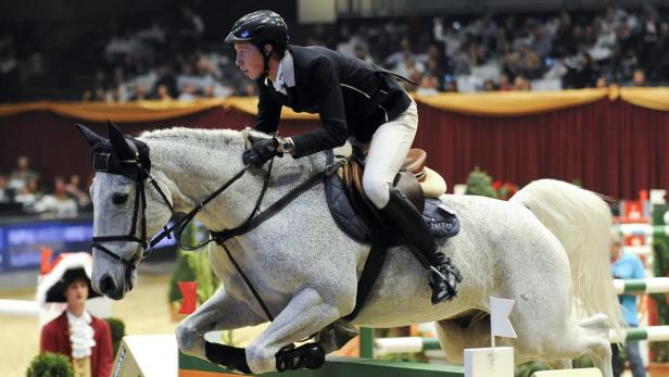 Ein Reiter auf einem Schimmelpferd springt über ein Hindernis.