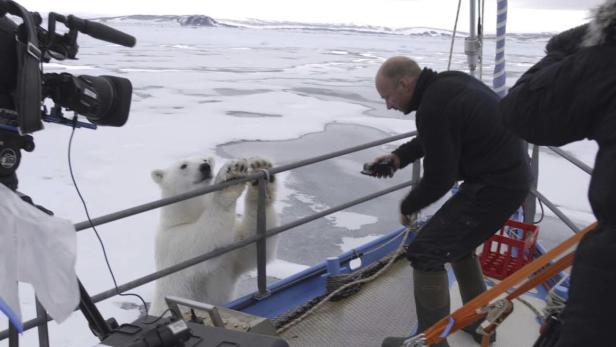 Ein Eisbär lehnt an der Reling eines Bootes, während ein Mann ihn fotografiert.