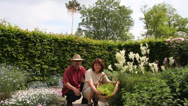 Christa Muhr pflegt den Kräutergarten im Schloss Hof im Marchfeld und mischt sie mit Salz zu feinen Würzungen.