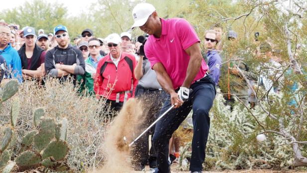 Woods kämpft in Phoenix unter anderem auch gegen die Kakten.