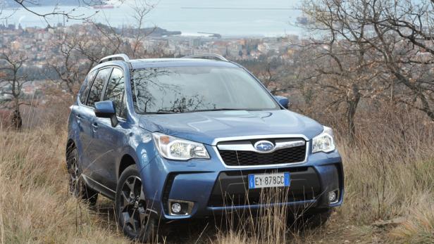 Ein blauer Subaru Forester steht auf einem Hügel mit Blick auf eine Stadt am Meer.