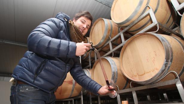 Michael Kerschbaum, 26 Jahre jung, lebt in Horitschon und führt einen großen Weinbaubetrieb