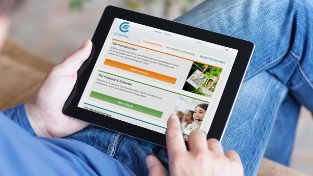 Rechnungshof konstatiert Mängel bei E-Control