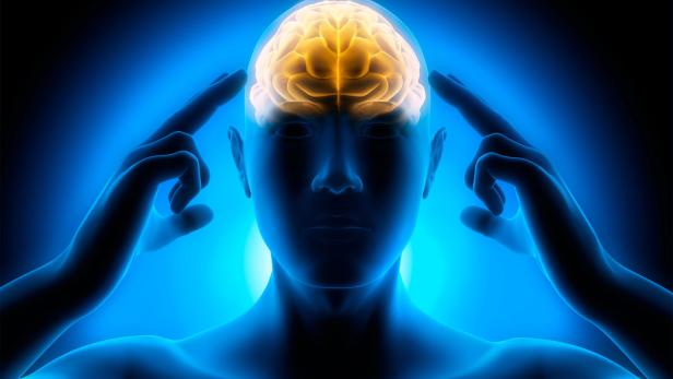 Eine stilisierte Darstellung eines menschlichen Kopfes mit hervorgehobenem Gehirn.