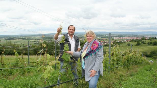 Vereinsobfrau Heidi Hahnekamp und Winzer Hans Moser im Weingarten mit den Zöglingen der Urrebe des Grünen Veltliners