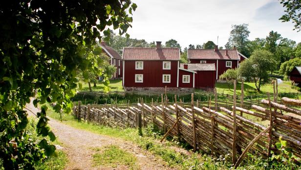 Midsommar, Süßgebäck & Krimis