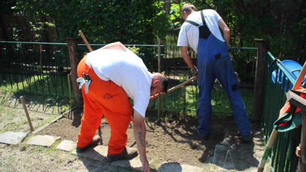 Egal ob Rasen mähen, Hecken schneiden oder Gartenarbeit, die Beschäftigung wird gerne angenommen.