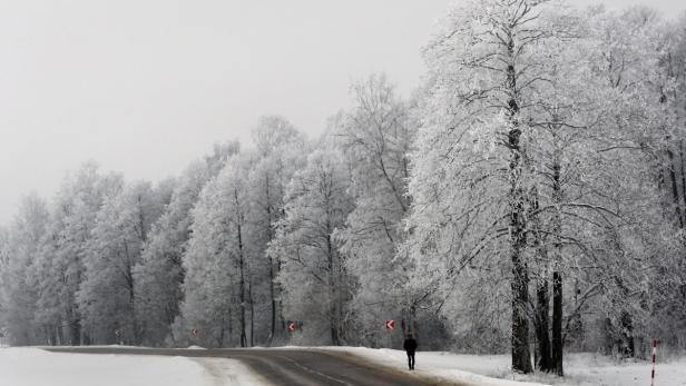 epa03537370 A man walks on a snow covered road under heavily frosted trees near the village of Borki, some 45 km from Minsk, Belarus, 15 January 2013. EPA/TATYANA ZENKOVICH