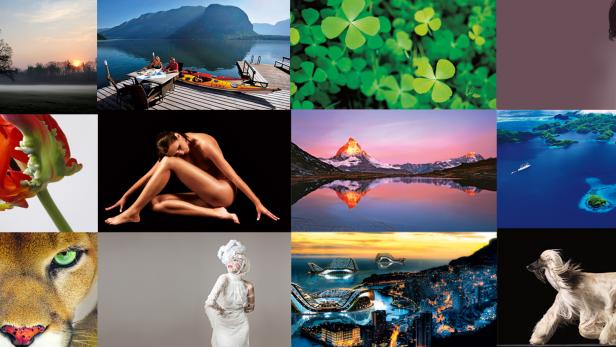 Eine Collage verschiedener Bilder, darunter Naturaufnahmen, Tiere und Menschen.