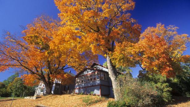 Indian Summer in den Neuengland-Staaten